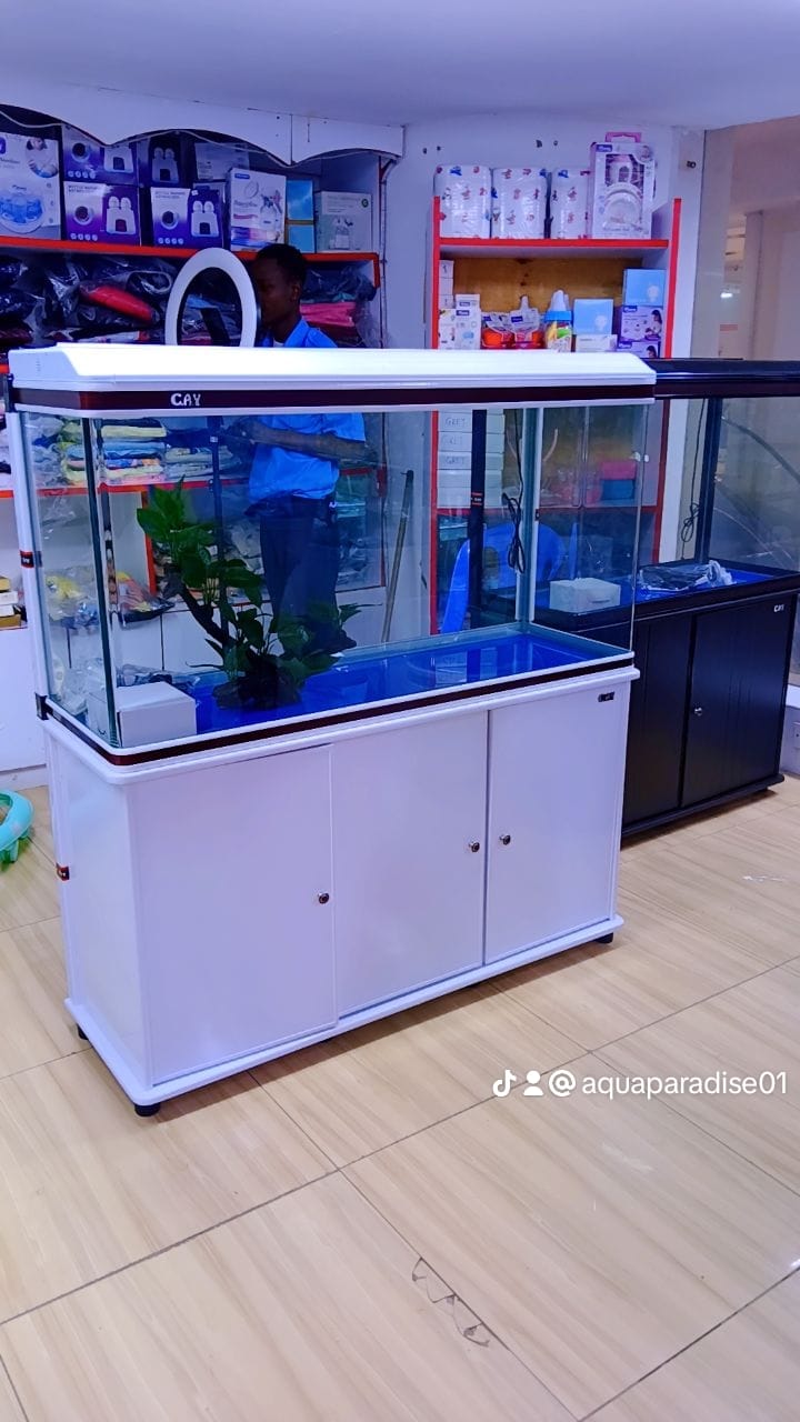 IMPORTED AQUARIUM