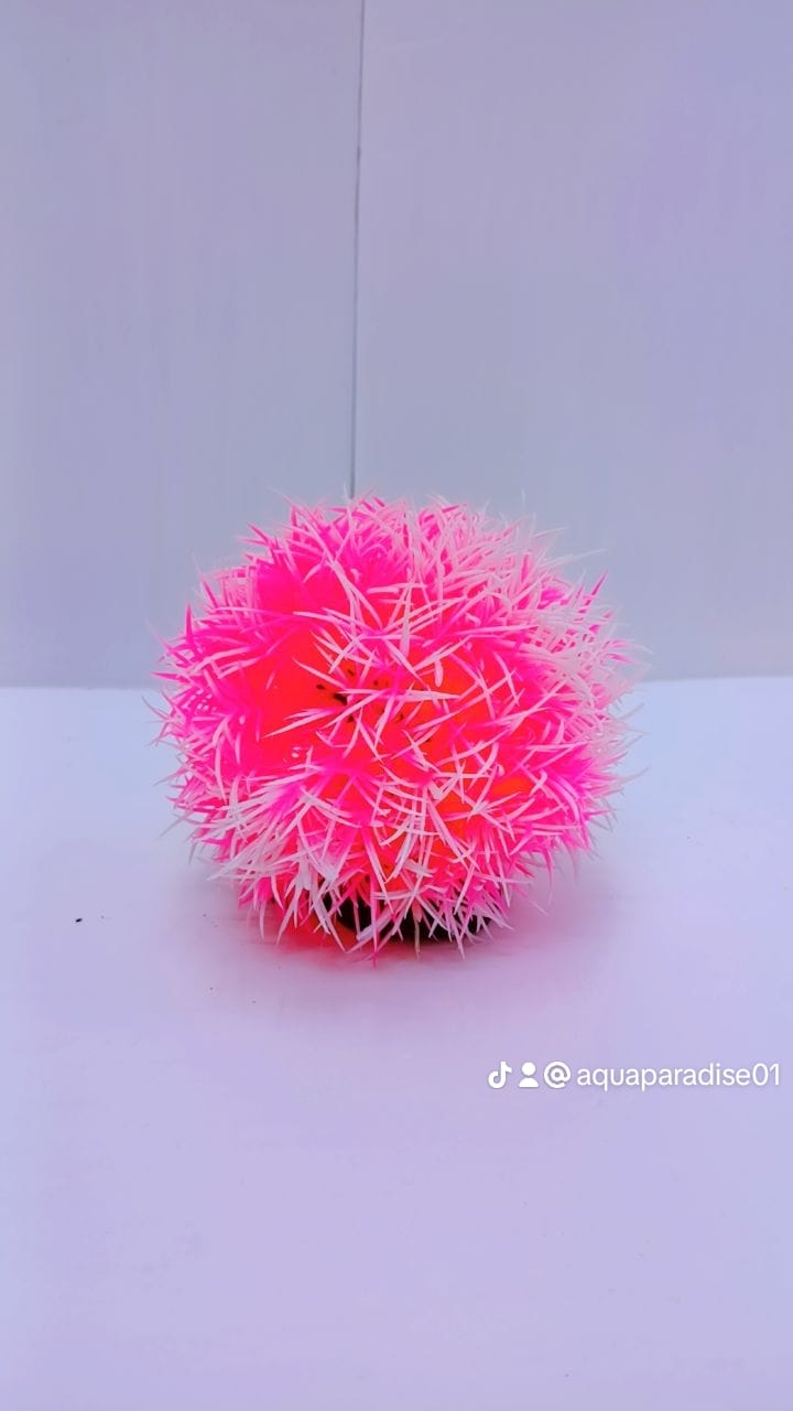 AQUARIUM ORNAMENT