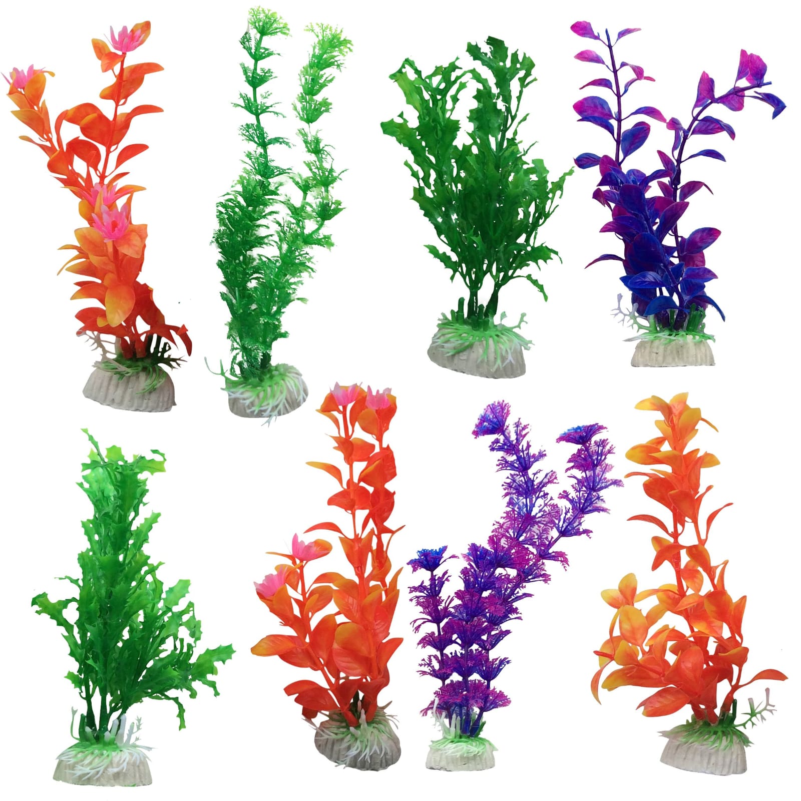 AQUARIUM PLANT