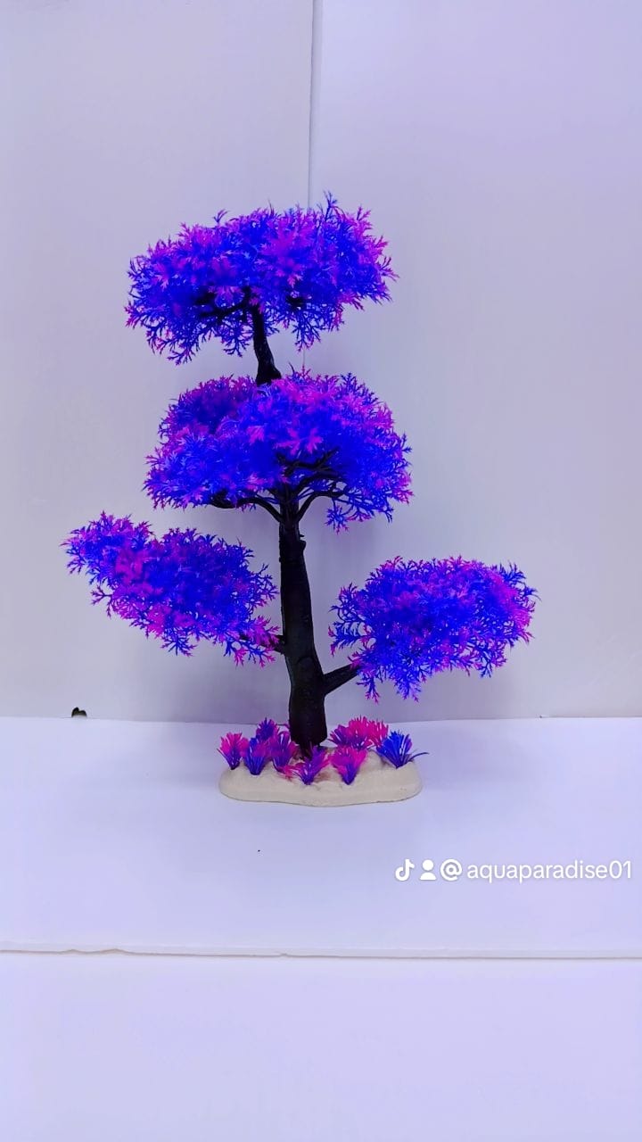 AQUARIUM PLANT