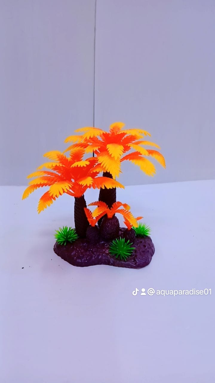 AQUARIUM PLANT