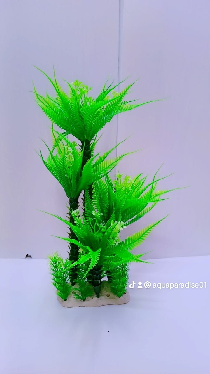 AQUARIUM PLANT