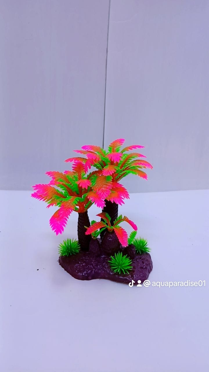 AQUARIUM PLANT