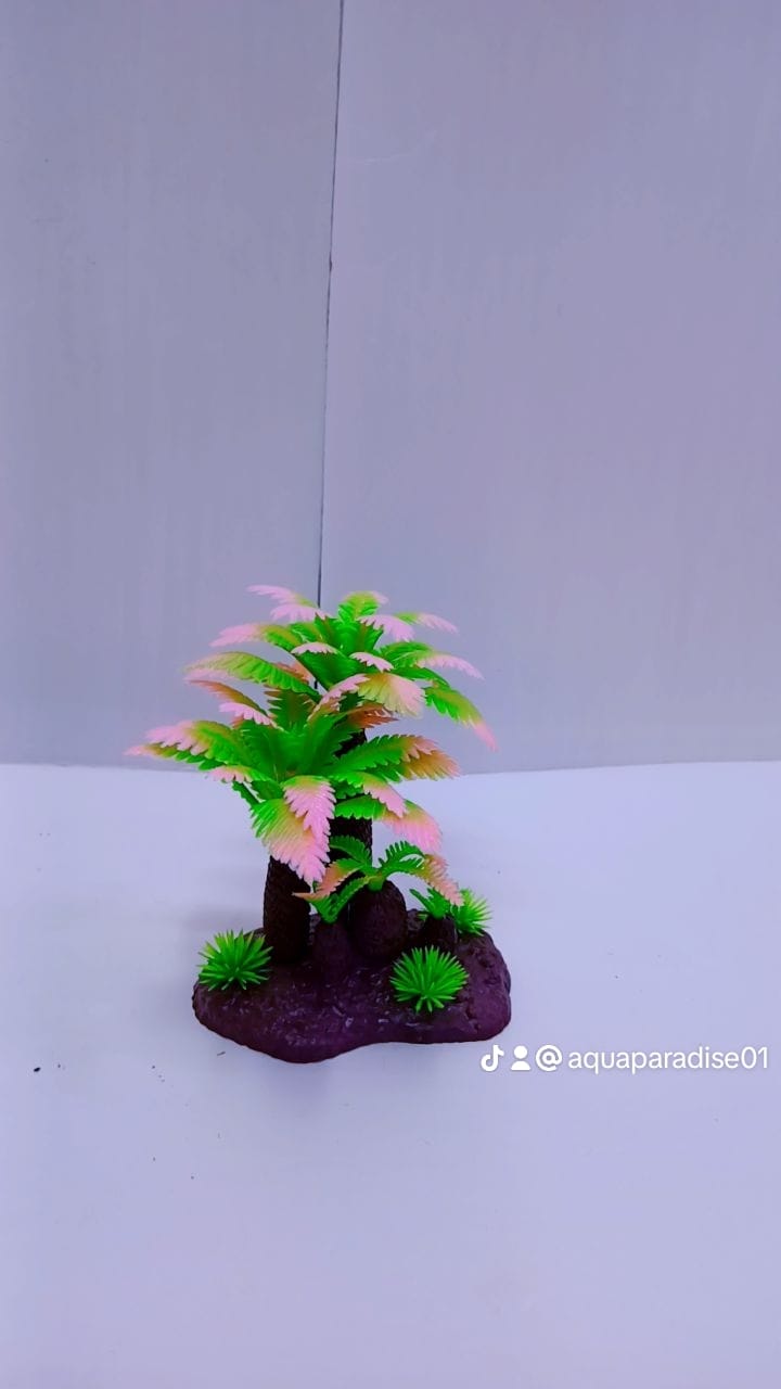 AQUARIUM PLANT
