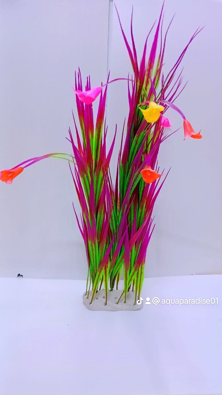 AQUARIUM PLANT