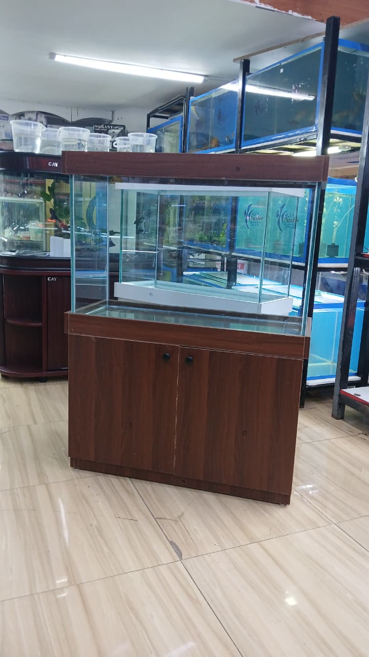 FISH TANKS (3 FT ) 