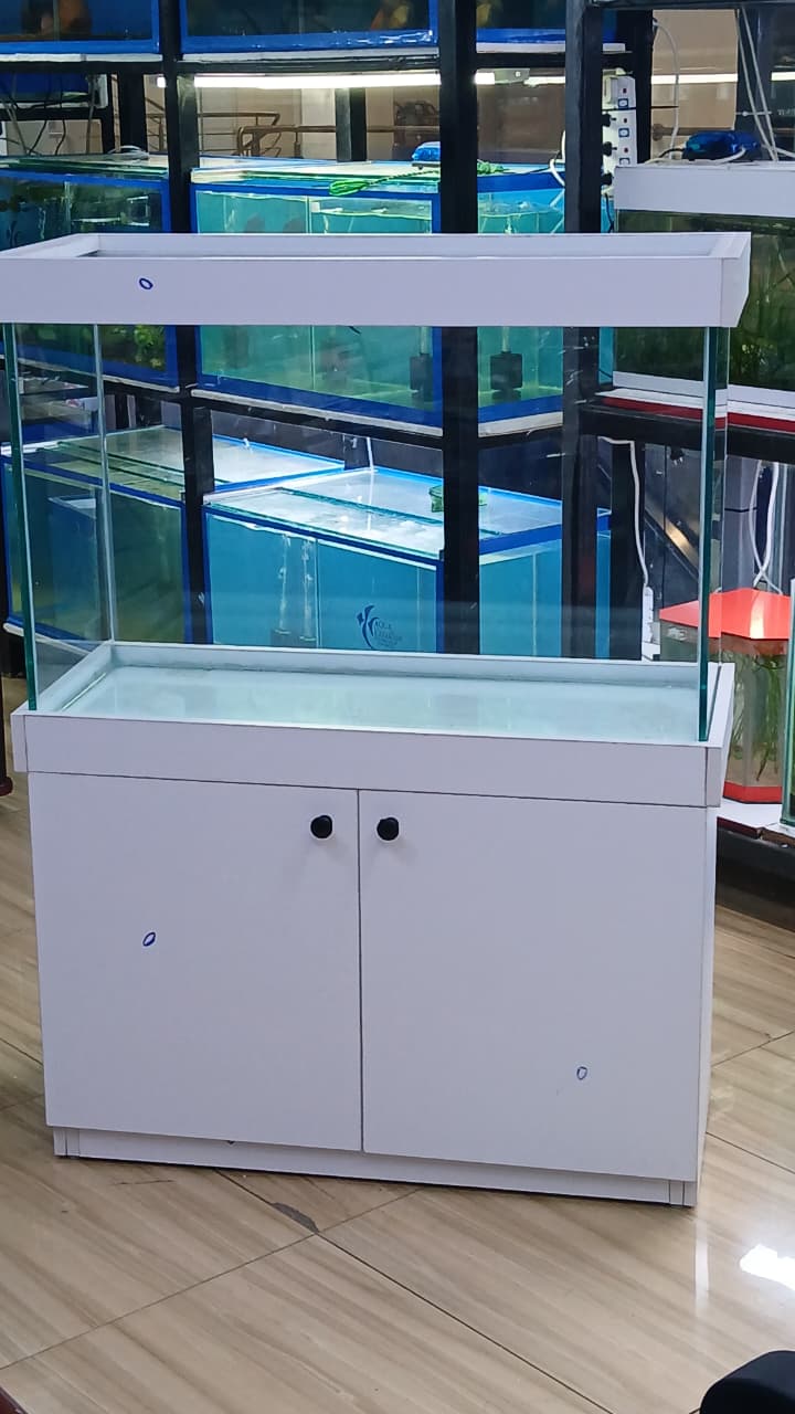 AQUARIUMS (3 FT)