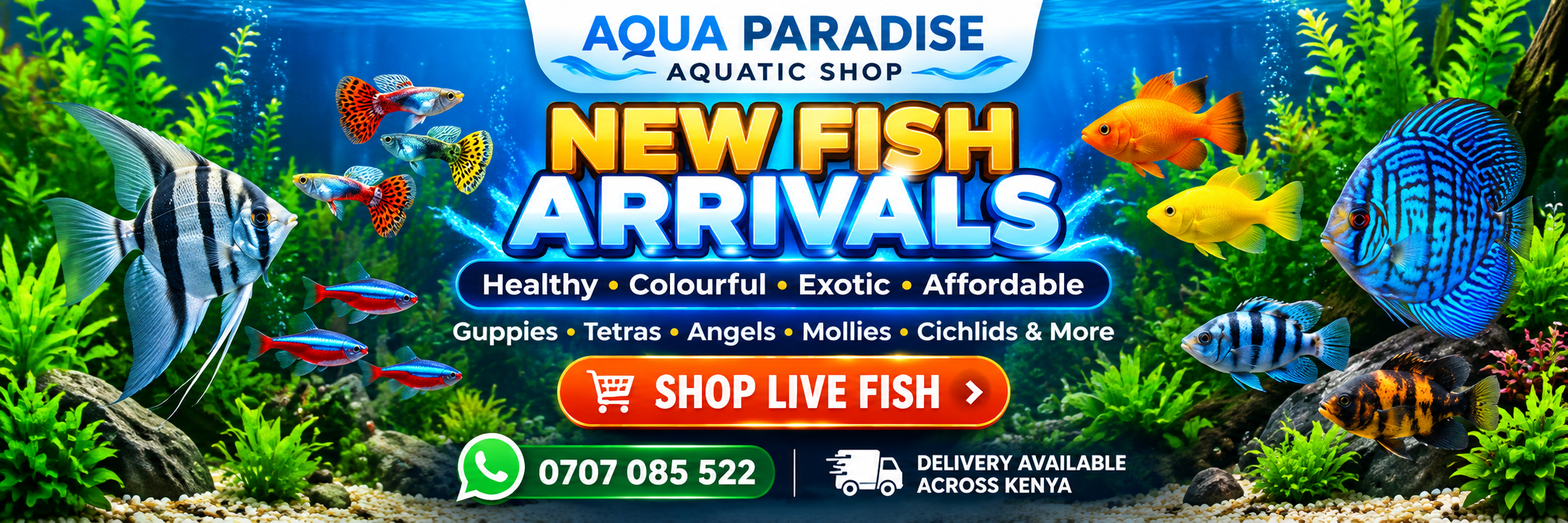 NEW FISH ARRIVALS